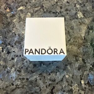 Pandora earings